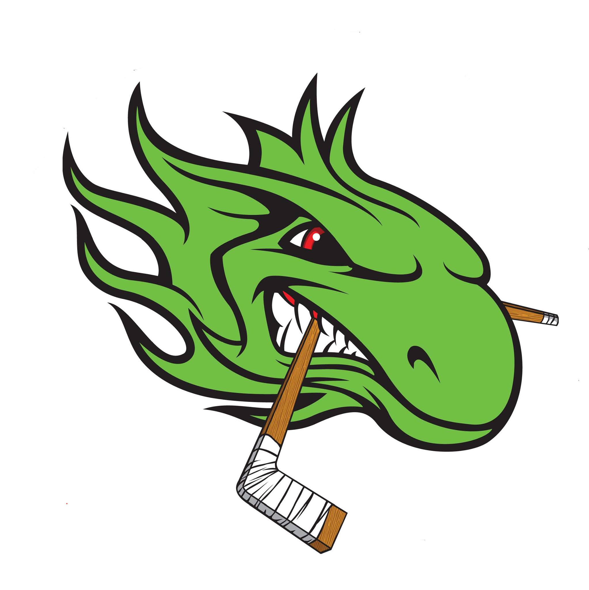 Lizard Head Hockey Club