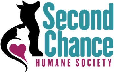 Second Chance Humane Society Non-Profit Organization